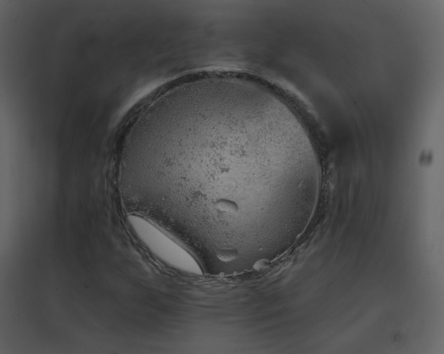 X0000096691255200802051337