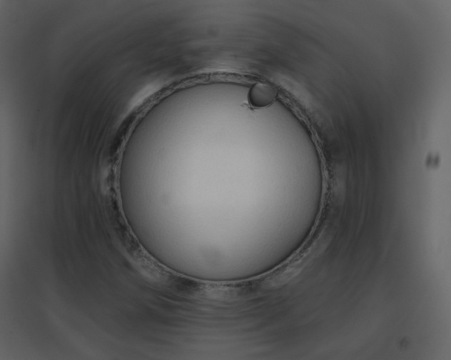 X0000096691258200802051337