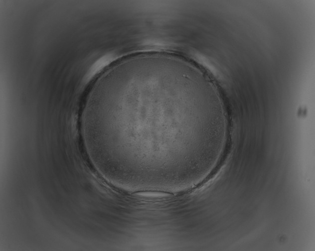X0000096691259200802051337