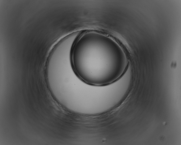 X0000096691260200802051337