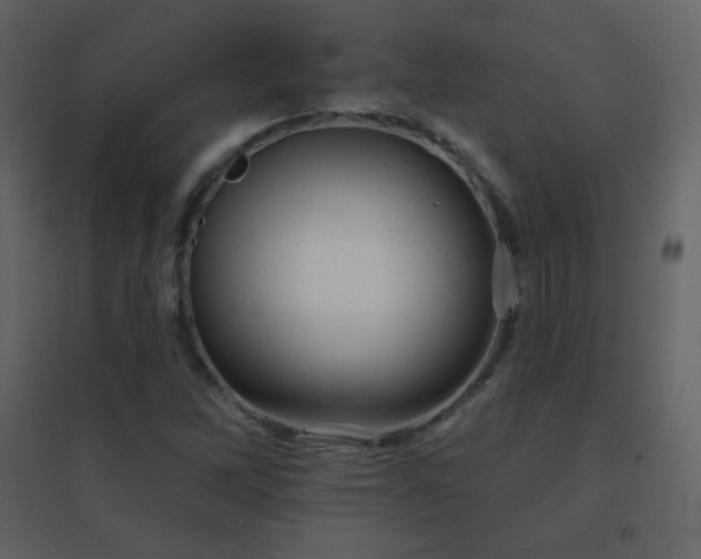 X0000096691262200802051337