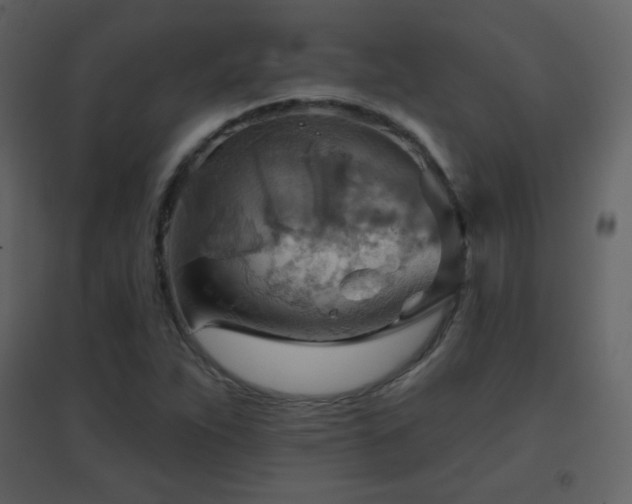 X0000096691263200802051337