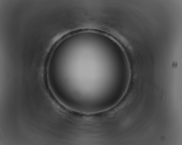 X0000096691264200802051337