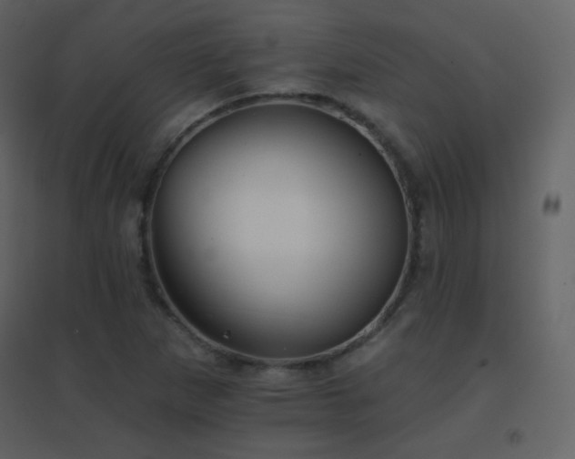 X0000096691265200802051337