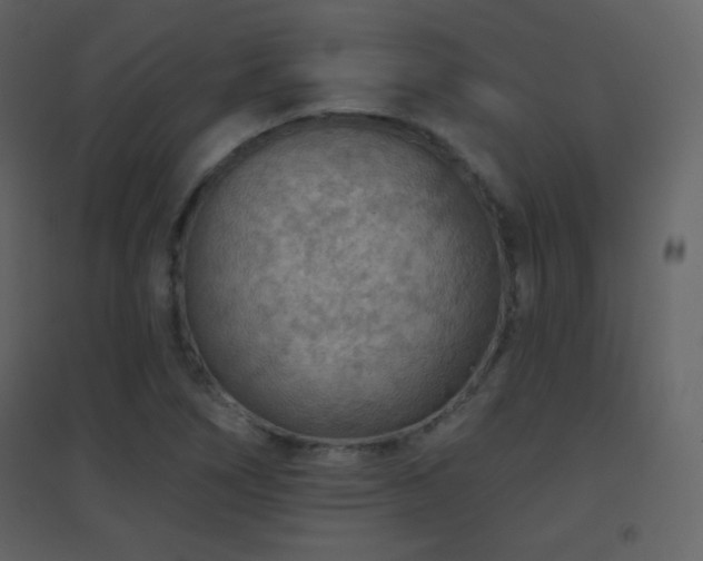 X0000096691266200802051337