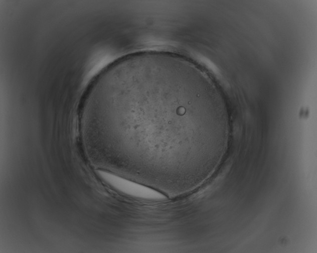 X0000096691267200802051337