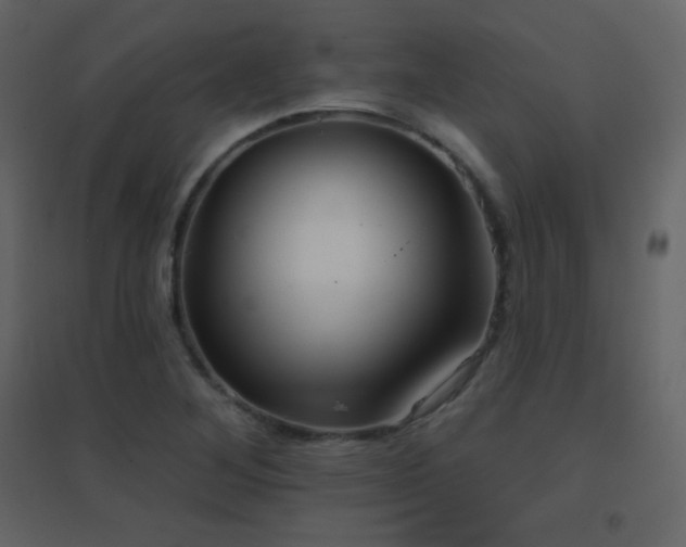 X0000096691268200802051337