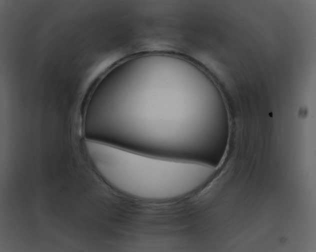 X0000096691269200802051337
