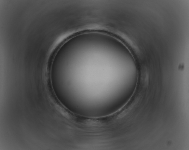 X0000096691270200802051337