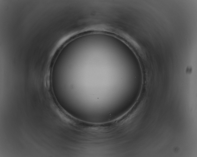 X0000096691272200802051337