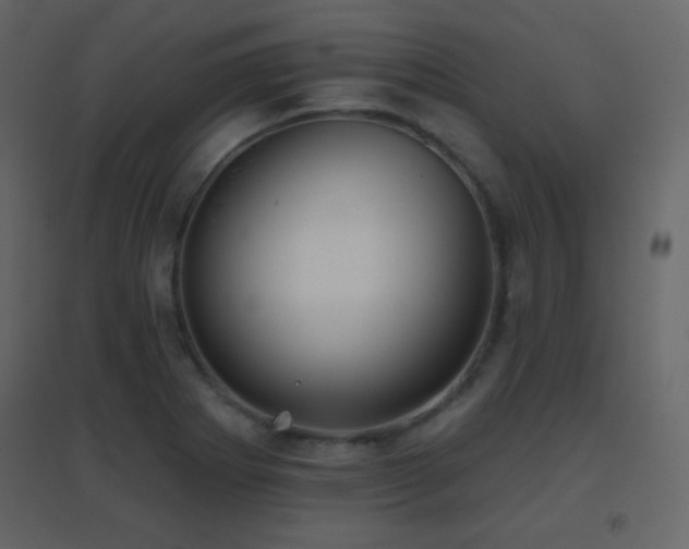 X0000096691273200802051337