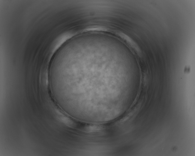 X0000096691274200802051337