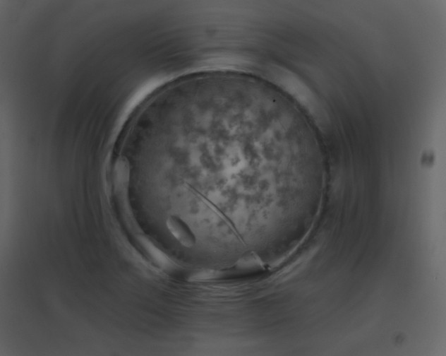 X0000096691275200802051337