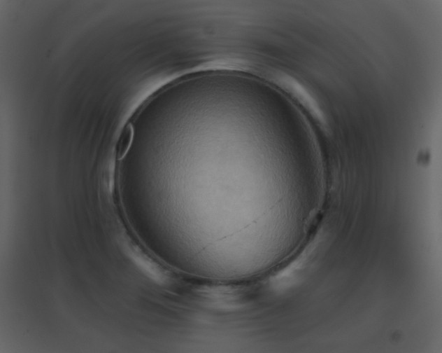 X0000096691276200802051337