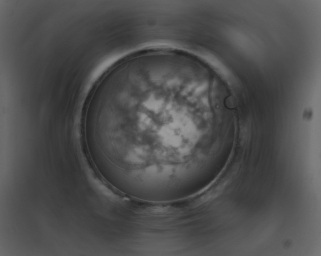 X0000096691279200802051337