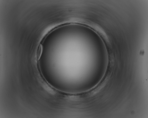 X0000096691280200802051337