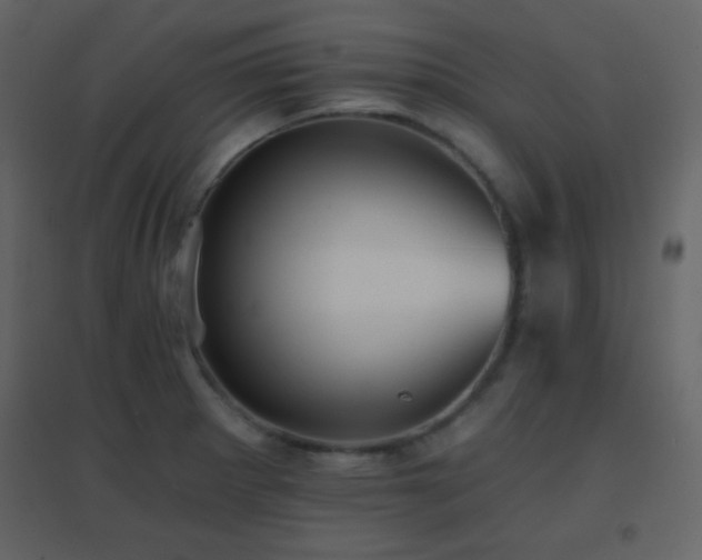 X0000096691281200802051337