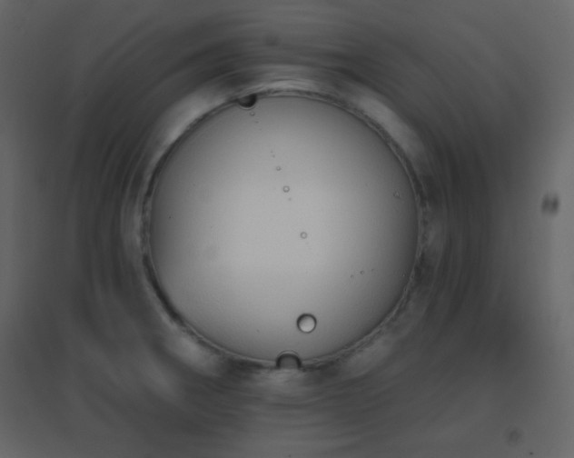 X0000096691282200802051337