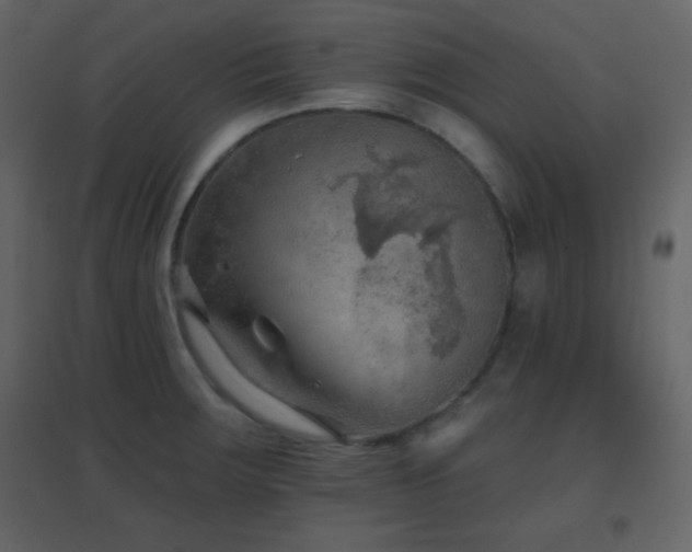 X0000096691283200802051337