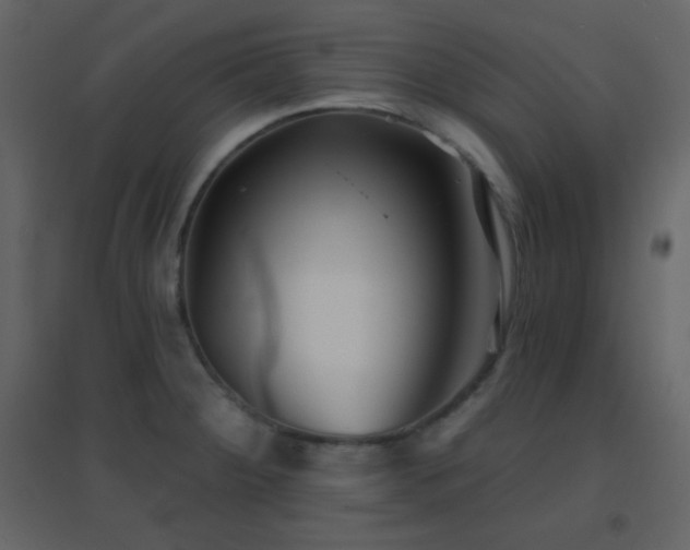 X0000096691284200802051337