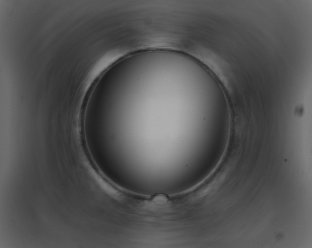X0000096691285200802051337