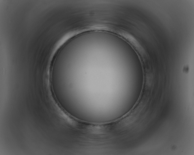 X0000096691286200802051337