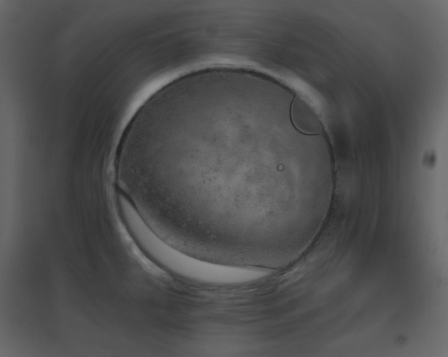 X0000096691287200802051337