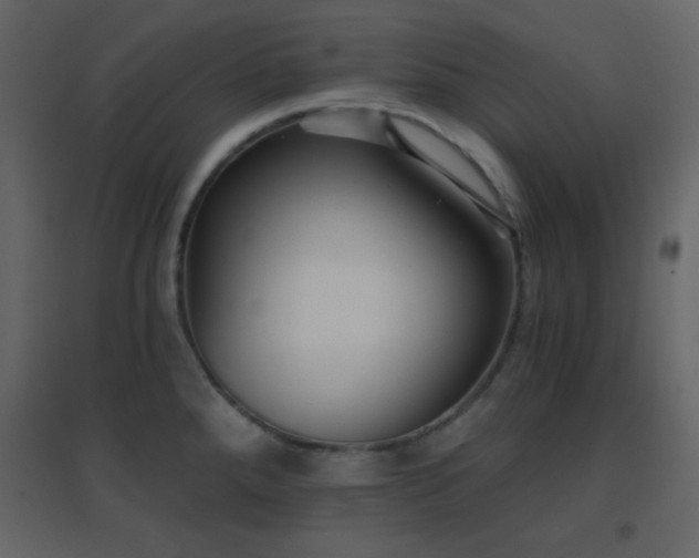 X0000096691288200802051337