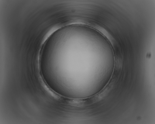 X0000096691290200802051337