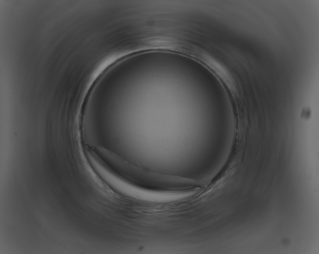 X0000096691291200802051337