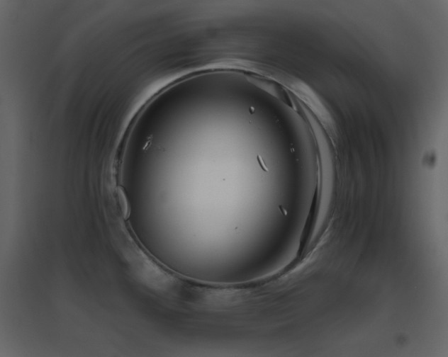 X0000096691292200802051337