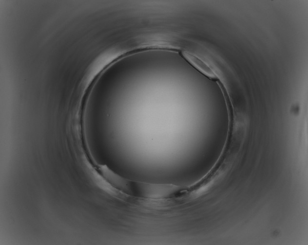 X0000096691293200802051337