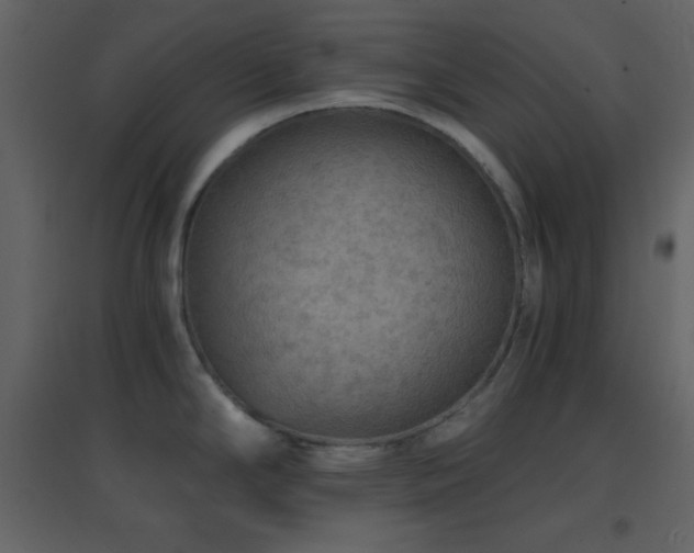 X0000096691294200802051337