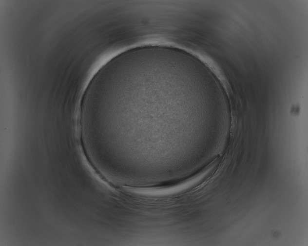 X0000096691295200802051337