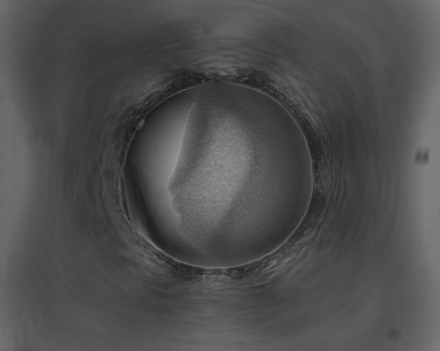 X0000096691297200802051336