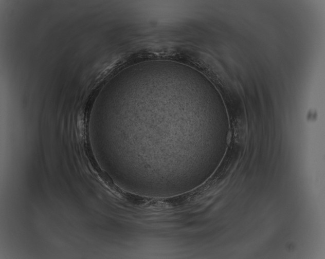 X0000096691298200802051336