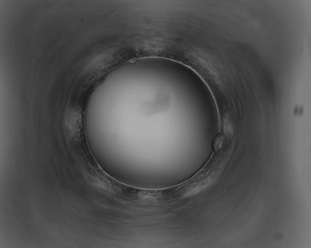 X0000096691299200802051336