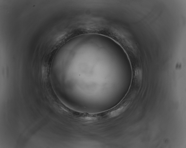 X0000096691300200802051336