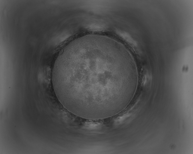 X0000096691301200802051336
