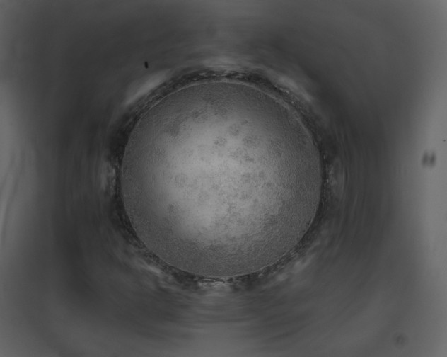 X0000096691302200802051336