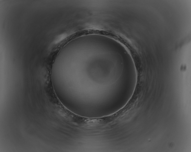 X0000096691303200802051336