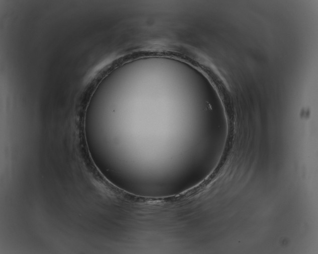 X0000096691304200802051336