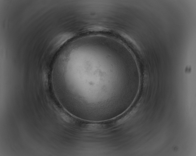 X0000096691305200802051336