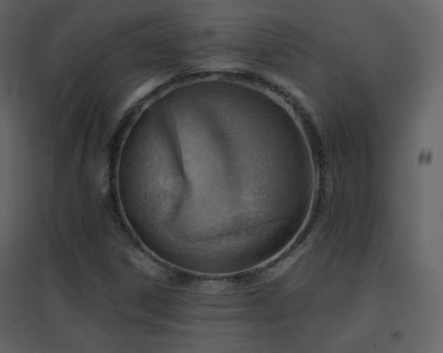X0000096691306200802051336