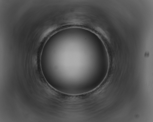 X0000096691307200802051336