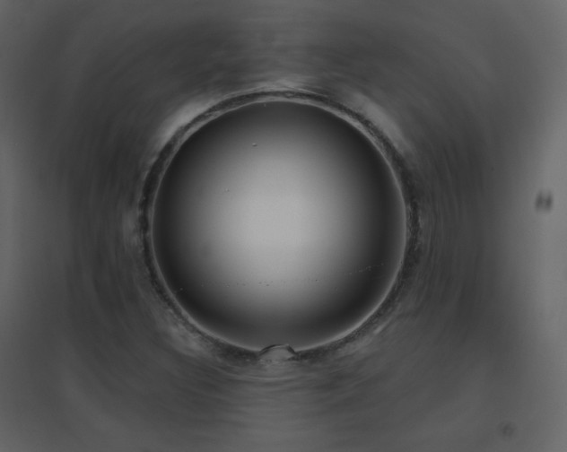 X0000096691308200802051336