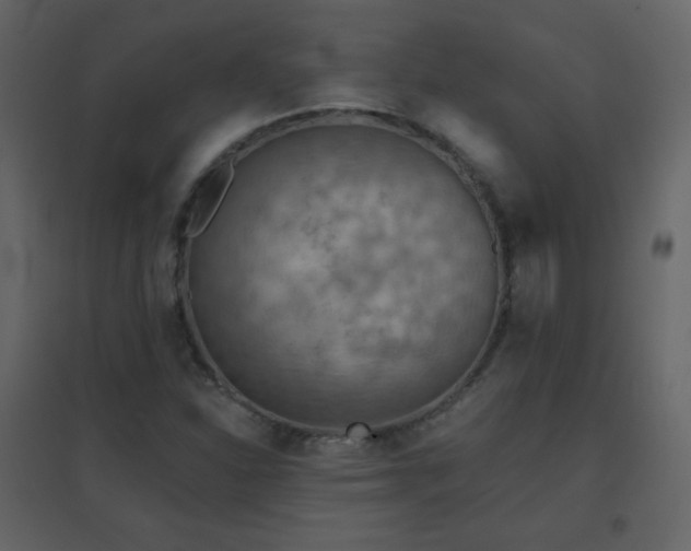 X0000096691310200802051336