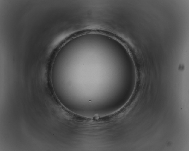 X0000096691311200802051336