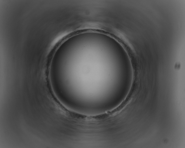X0000096691312200802051336