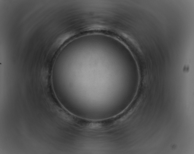 X0000096691313200802051336